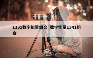 1331 数字能量组合_数字能量 1341 组合