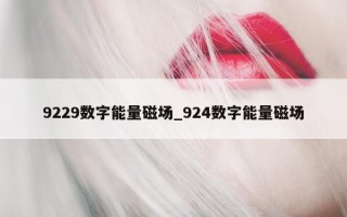 9229 数字能量磁场_924 数字能量磁场