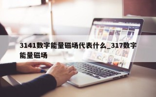 3141 数字能量磁场代表什么_317 数字能量磁场