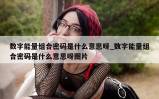 数字能量组合密码是什么意思呀_数字能量组合密码是什么意思呀图片