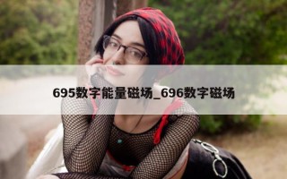 695 数字能量磁场_696 数字磁场