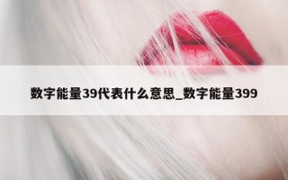 数字能量 39 代表什么意思_数字能量 399