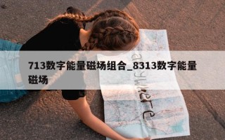 713 数字能量磁场组合_8313 数字能量磁场