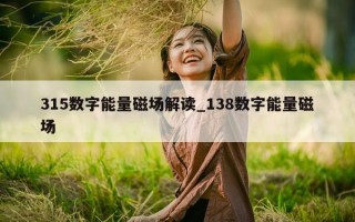 315 数字能量磁场解读_138 数字能量磁场