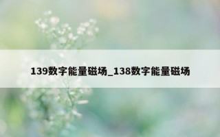 139 数字能量磁场_138 数字能量磁场