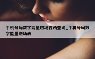 手机号码数字能量磁场吉凶查询_手机号码数字能量磁场表