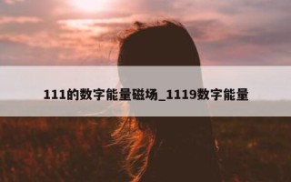 111 的数字能量磁场_1119 数字能量