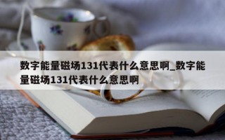 数字能量磁场 131 代表什么意思啊_数字能量磁场 131 代表什么意思啊