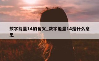 数字能量 14 的含义_数字能量 14 是什么意思