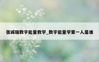 张诚瑞数字能量教学_数字能量学第一人是谁