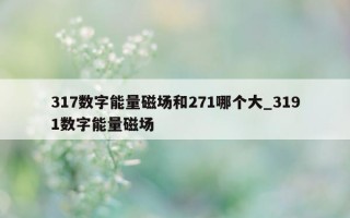 317 数字能量磁场和 271 哪个大_3191 数字能量磁场