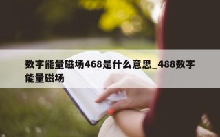 数字能量磁场 468 是什么意思_488 数字能量磁场