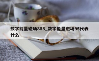 数字能量磁场 883_数字能量磁场 95 代表什么