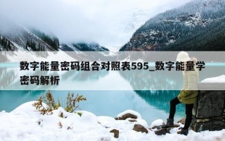 数字能量密码组合对照表 595_数字能量学密码解析