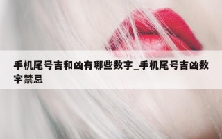 手机尾号吉和凶有哪些数字_手机尾号吉凶数字禁忌