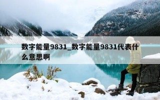 数字能量 9831_数字能量 9831 代表什么意思啊