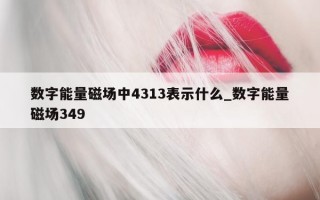 数字能量磁场中 4313 表示什么_数字能量磁场 349