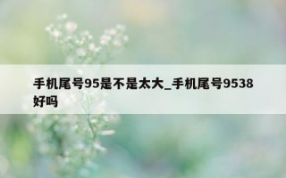 手机尾号 95 是不是太大_手机尾号 9538 好吗