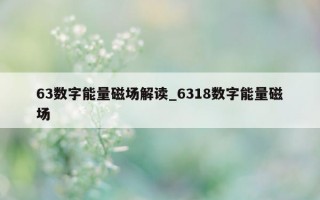 63 数字能量磁场解读_6318 数字能量磁场