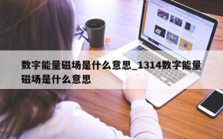 数字能量磁场是什么意思_1314 数字能量磁场是什么意思