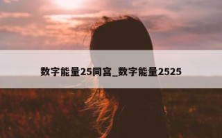 数字能量 25 同宫_数字能量 2525