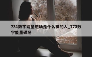 731 数字能量磁场是什么样的人_773 数字能量磁场