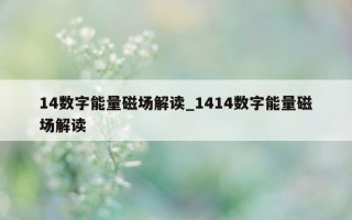 14 数字能量磁场解读_1414 数字能量磁场解读