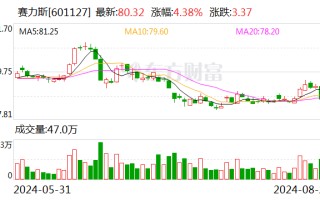 赛力斯上半年净赚逾 16 亿 拟花 115 亿购买华为引望 10% 股权