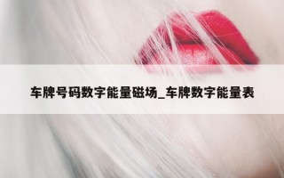 车牌号码数字能量磁场_车牌数字能量表