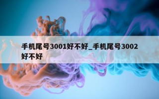 手机尾号 3001 好不好_手机尾号 3002 好不好