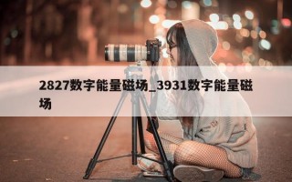 2827 数字能量磁场_3931 数字能量磁场