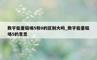 数字能量磁场 5 和 0 的区别大吗_数字能量磁场 5 的意思