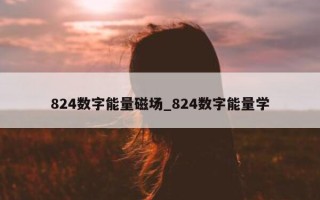 824 数字能量磁场_824 数字能量学