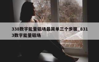 338 数字能量磁场最简单三个步骤_8313 数字能量磁场