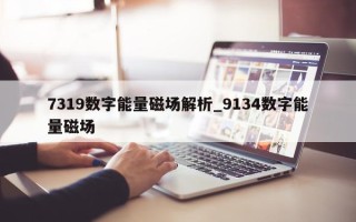 7319 数字能量磁场解析_9134 数字能量磁场