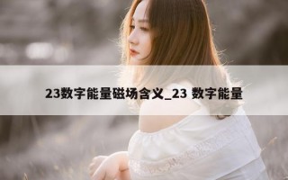 23 数字能量磁场含义_23 数字能量