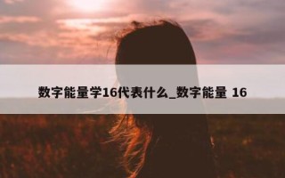 数字能量学 16 代表什么_数字能量 16