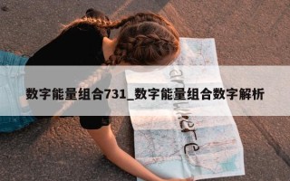 数字能量组合 731_数字能量组合数字解析