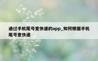 通过手机尾号查快递的 app_如何根据手机尾号查快递