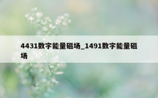 4431 数字能量磁场_1491 数字能量磁场