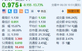 极星汽车跌超 13.7% 任命行业资深人士为新 CEO