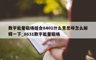 数字能量磁场组合 8401 什么意思呀怎么解释一下_8631 数字能量磁场