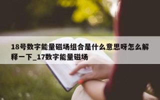 18 号数字能量磁场组合是什么意思呀怎么解释一下_17 数字能量磁场