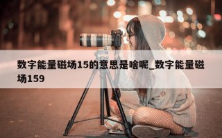 数字能量磁场 15 的意思是啥呢_数字能量磁场 159