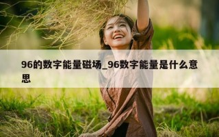 96 的数字能量磁场_96 数字能量是什么意思