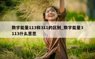 数字能量 113 和 311 的区别_数字能量 3113 什么意思