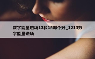 数字能量磁场 13 和 15 哪个好_1213 数字能量磁场