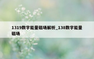 1319 数字能量磁场解析_138 数字能量磁场