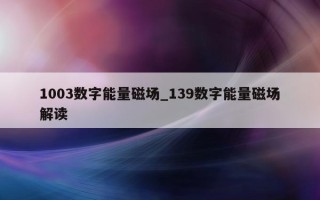 1003 数字能量磁场_139 数字能量磁场解读