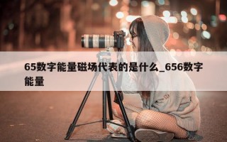 65 数字能量磁场代表的是什么_656 数字能量